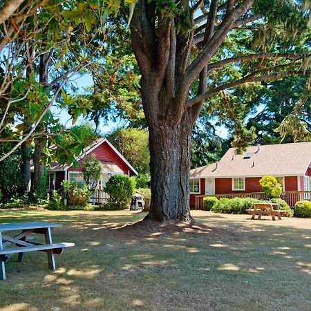 View Crest Lodge Trinidad Dış mekan fotoğraf