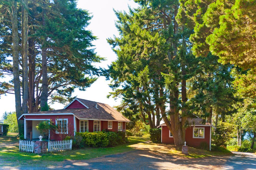 View Crest Lodge Trinidad Dış mekan fotoğraf