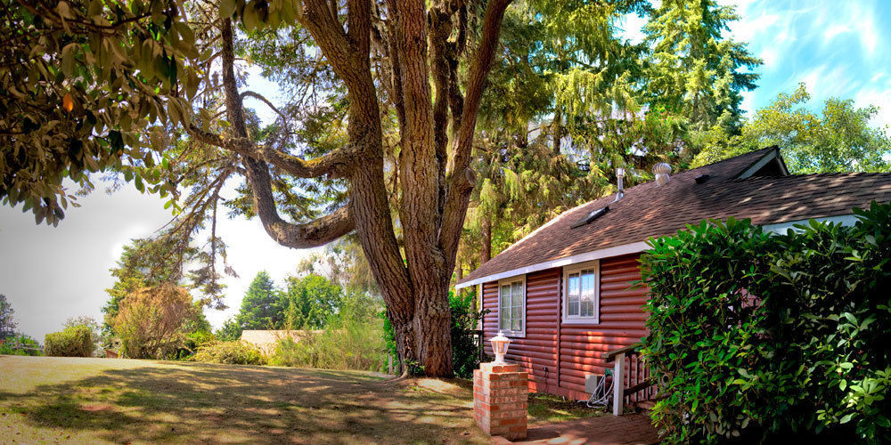 View Crest Lodge Trinidad Dış mekan fotoğraf