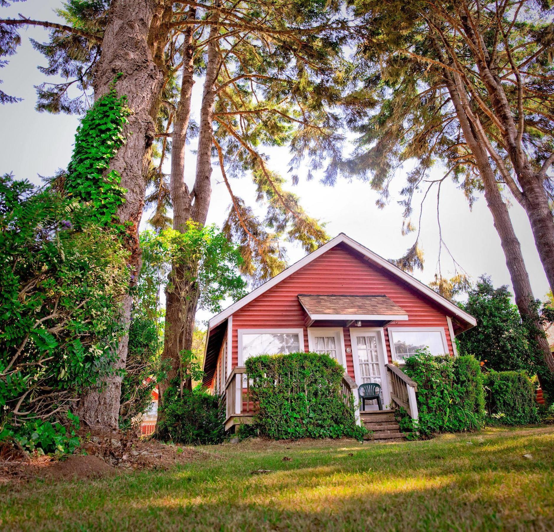 View Crest Lodge Trinidad Dış mekan fotoğraf