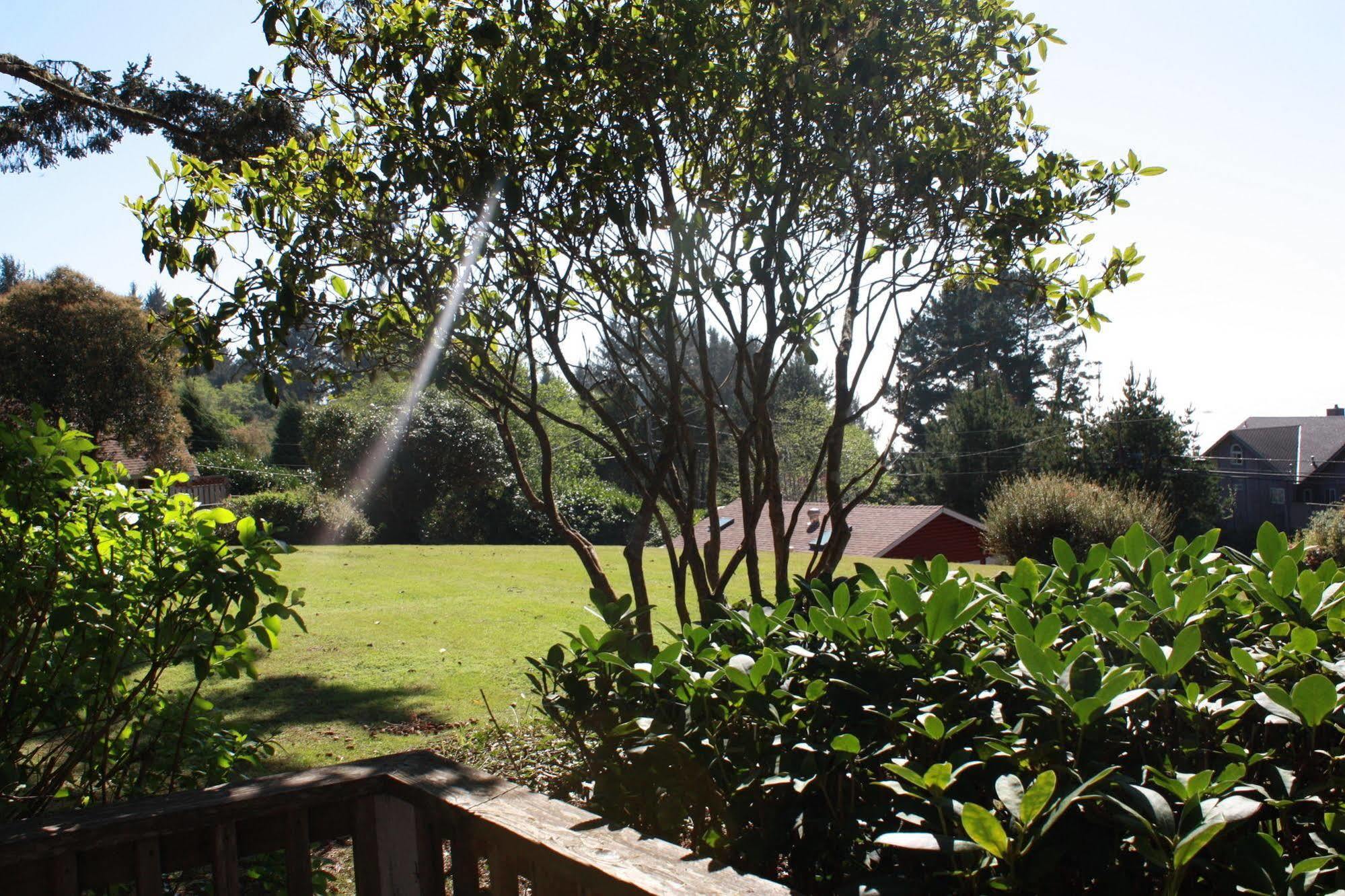 View Crest Lodge Trinidad Dış mekan fotoğraf